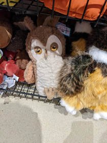 Bottom shelf toy owlstoned or disillusioned