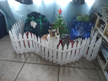 Bought a small fence to keep the cat away from the gifts Saw this the next day Money well spent