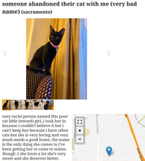 Boyfriend and I were looking at cats and found this listing