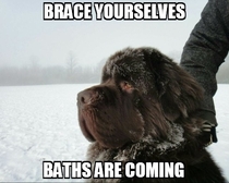 Brace yourselves