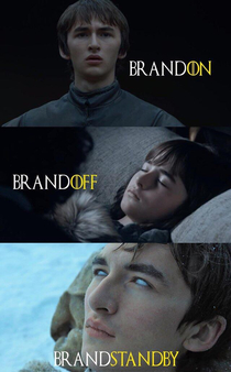 Bran modes