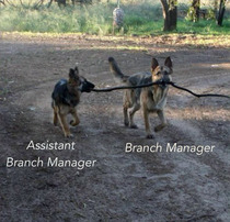 Branch Management