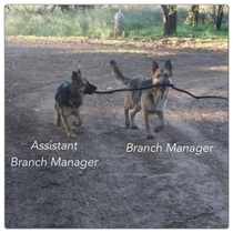 Branch manager
