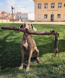 Branch Manager and Assistant Branch Manager