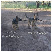Branch Manager And Assistant Branch Manager