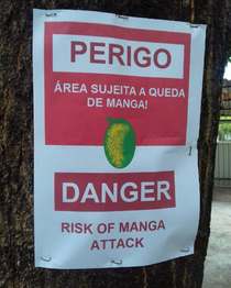 Brazil seems like a dangerous place