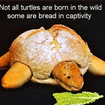 Bread in captivity