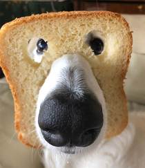 bread masks