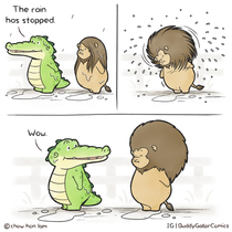 Buddy Gator - After Rain