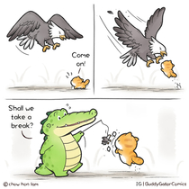 Buddy Gator - Eagle Attack