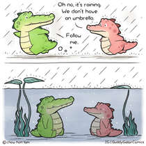 Buddy Gator - Rainy Day