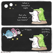 BuddyGator -  Moons