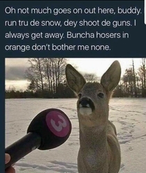 Buncha hosers