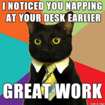 Business Cat