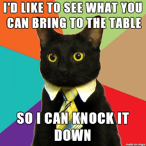 Business cat gets a new employee