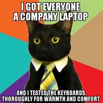 business cat gives back to the company