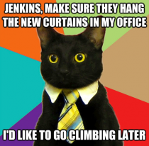 Business Cat is doing some interior decorating