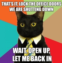 Business Cat just cant do it