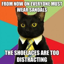 Business cat on dress code