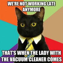 Business cat on overtime