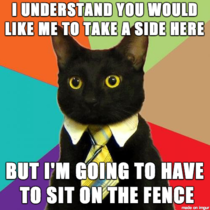 Business Cat resolves an office dispute