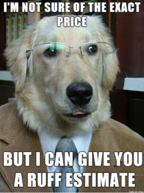 Business Dog