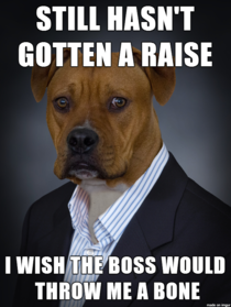 Business Dog wants a raise