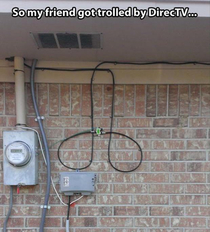 Cable guy art