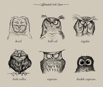 Caffeinated owl chart