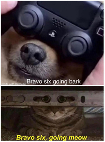 Call of Duty Meowdern Barkfare