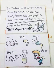 Came across this simple illustrated -step guide teaching foreigners how to poop in Thailand