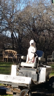 Came home to see that my wife had hired a new gardener