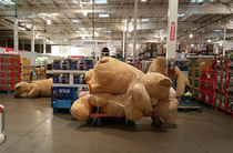 Came into work to find the giant teddy bears partied too hard last night