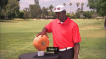 Can Michael Jordan Palm a Pumpkin 