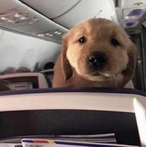 Can you please tell your son to stop kicking my seat maam