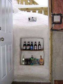 Canadian beer fridge