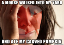 Canadian First World Problems