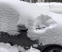 Canadian parking enforcement doesnt mess around