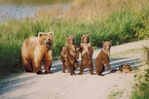 Canadian Street Gang