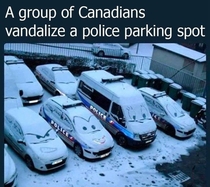 Canadians are just too nice