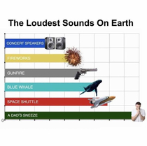 cant get any louder than that