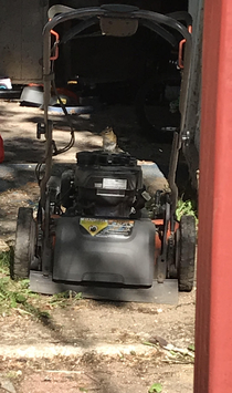 Cant get my mower running so I called in an expert