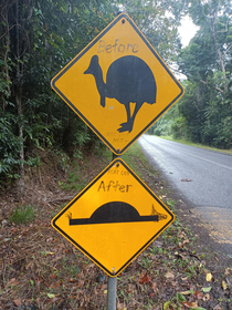 Cape Tribulation Queensland Australia