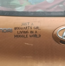 Car sticker made me chuckle