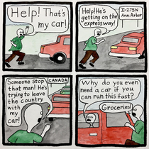 Car Thief