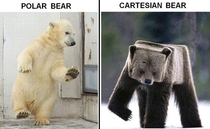 Cartesian bears are so cool