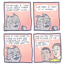 Cat blink