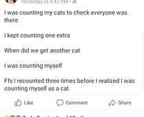 Cat Check