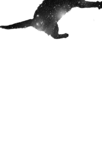 Cat falling through space