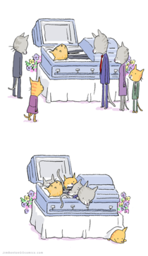 cat funeral